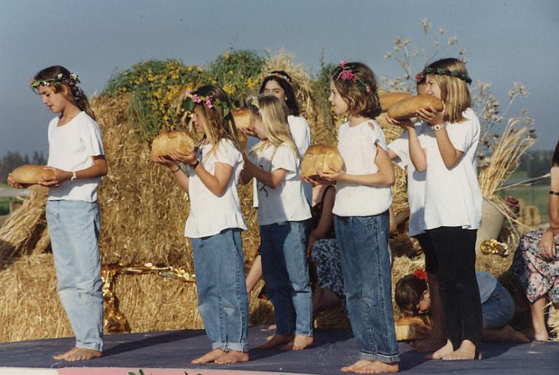 ניצנים